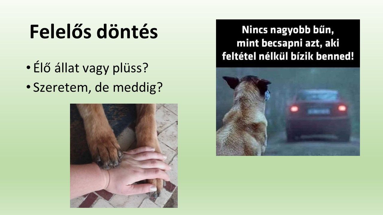 Dia2.JPG