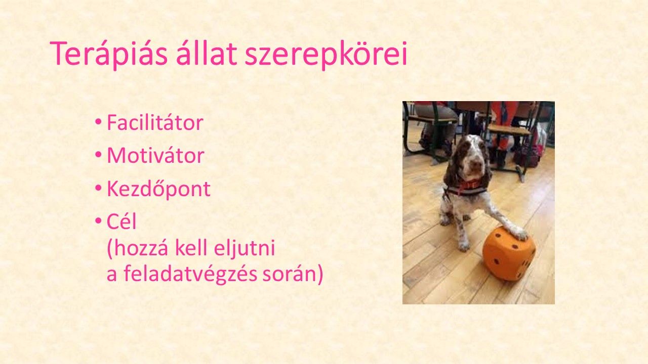 Dia5.JPG