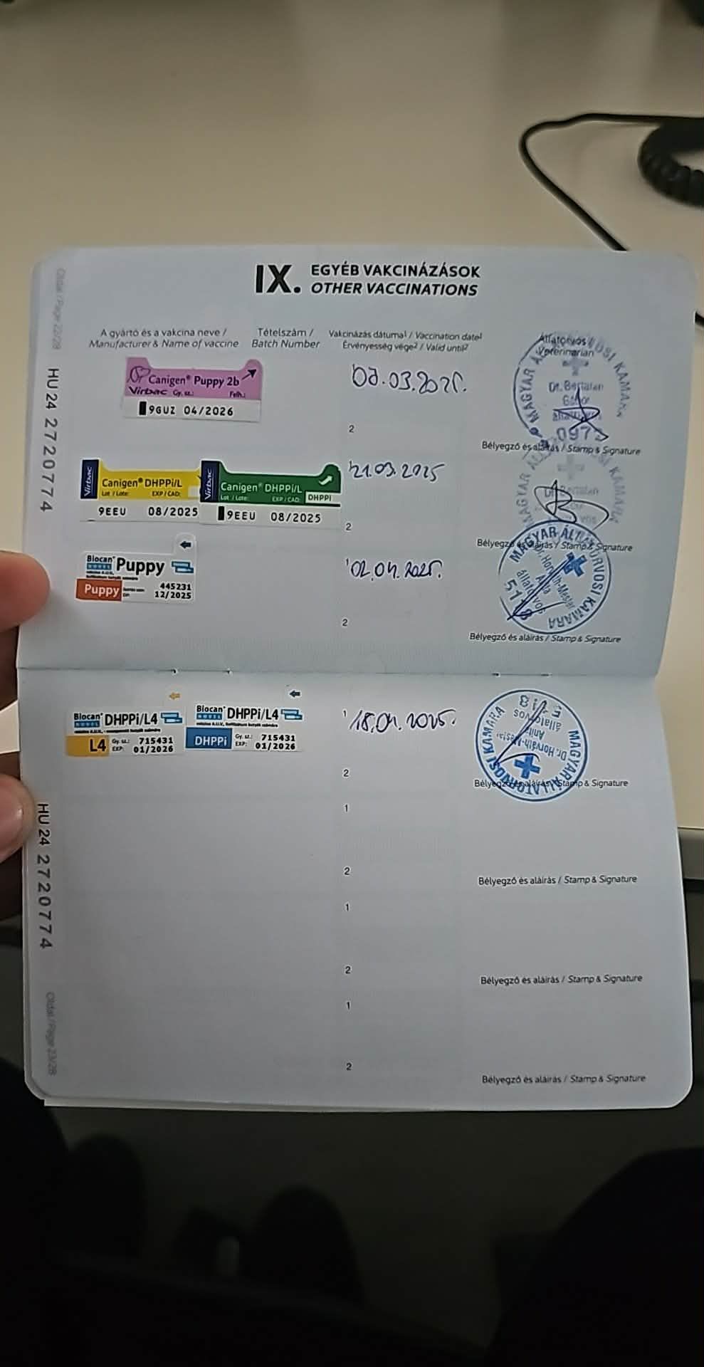 Mentőkutya_eükiskönyv_4.jpg