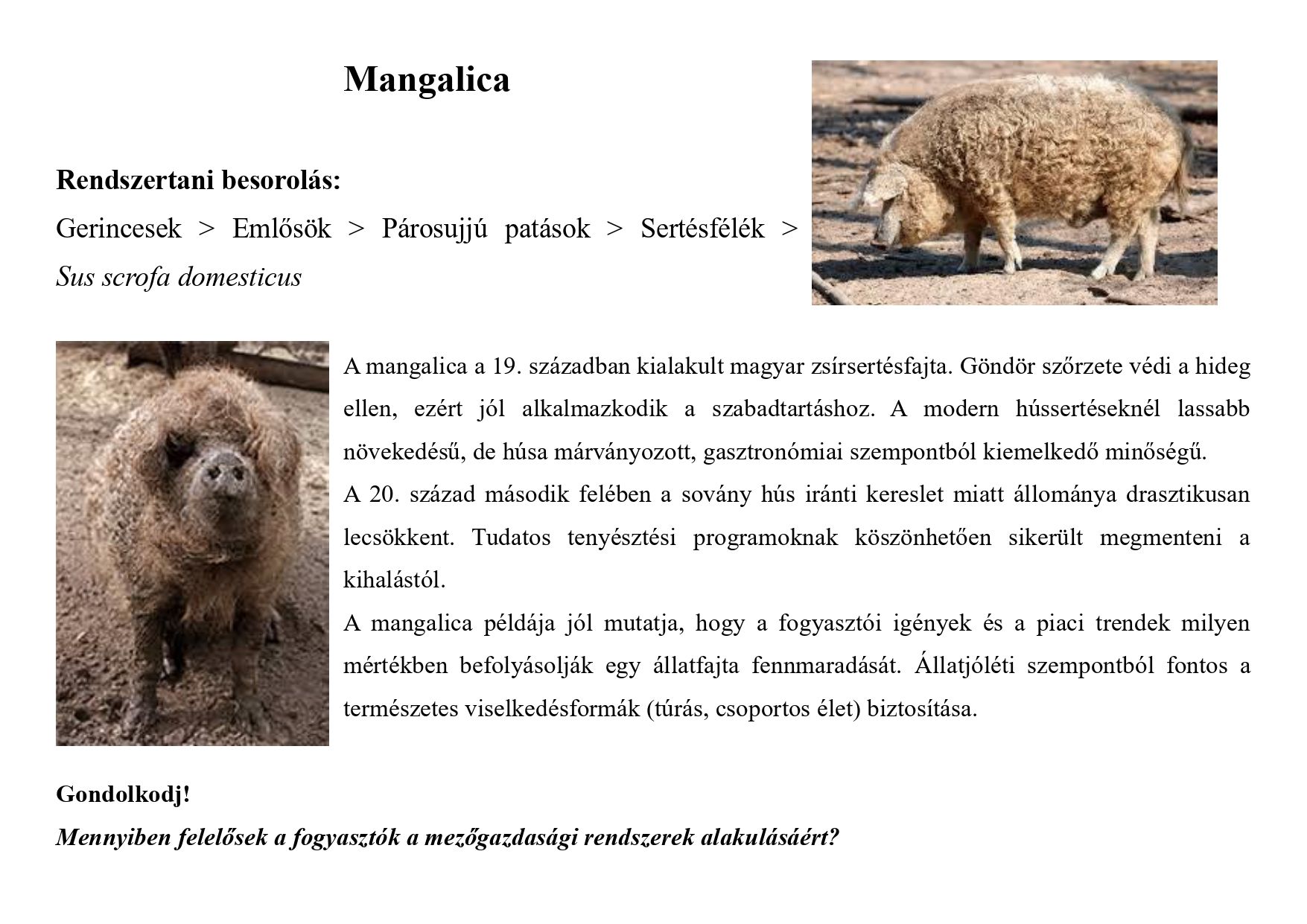 Tanösvény_haszonállatokról gyűjtemény_page-0003.jpg