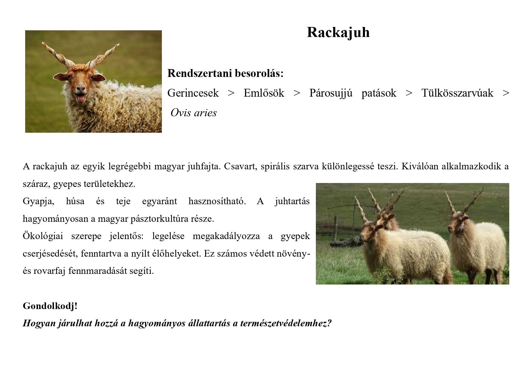 Tanösvény_haszonállatokról gyűjtemény_page-0004.jpg