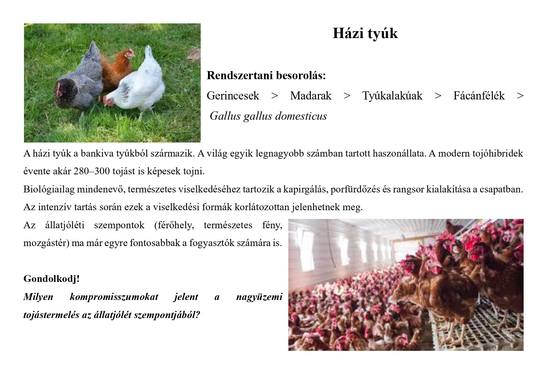 Tanösvény_haszonállatokról gyűjtemény_page-0005.jpg