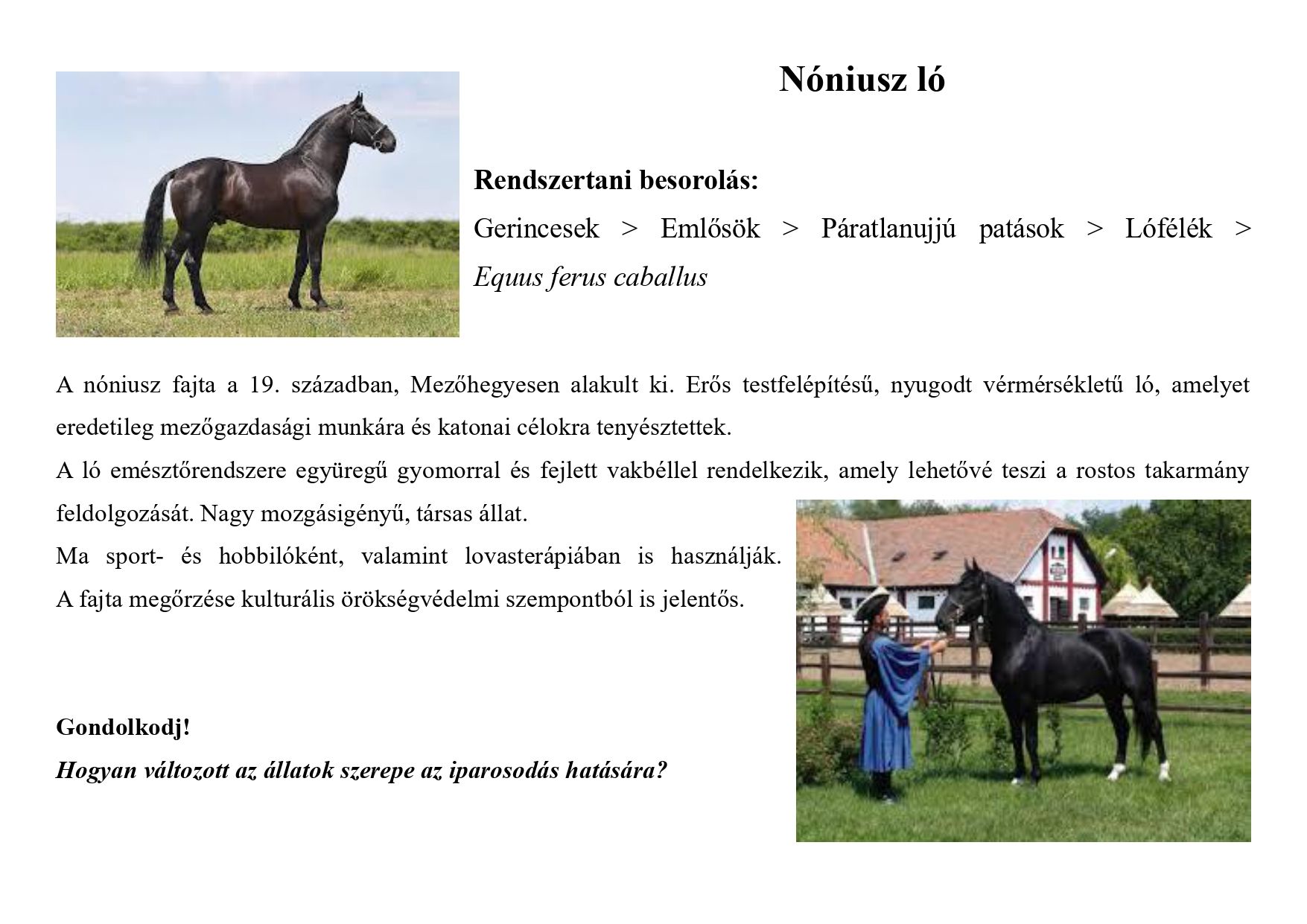 Tanösvény_haszonállatokról gyűjtemény_page-0006.jpg