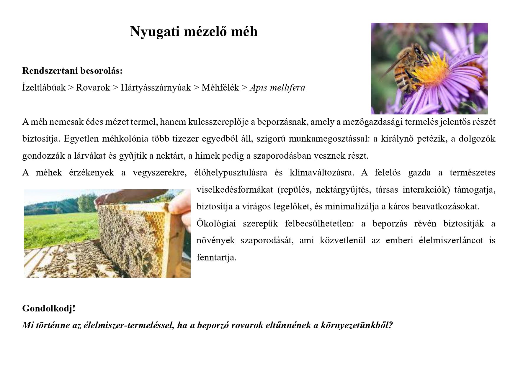 Tanösvény_haszonállatokról gyűjtemény_page-0007.jpg