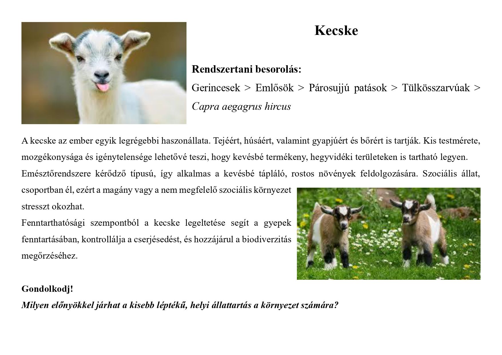 Tanösvény_haszonállatokról gyűjtemény_page-0008.jpg