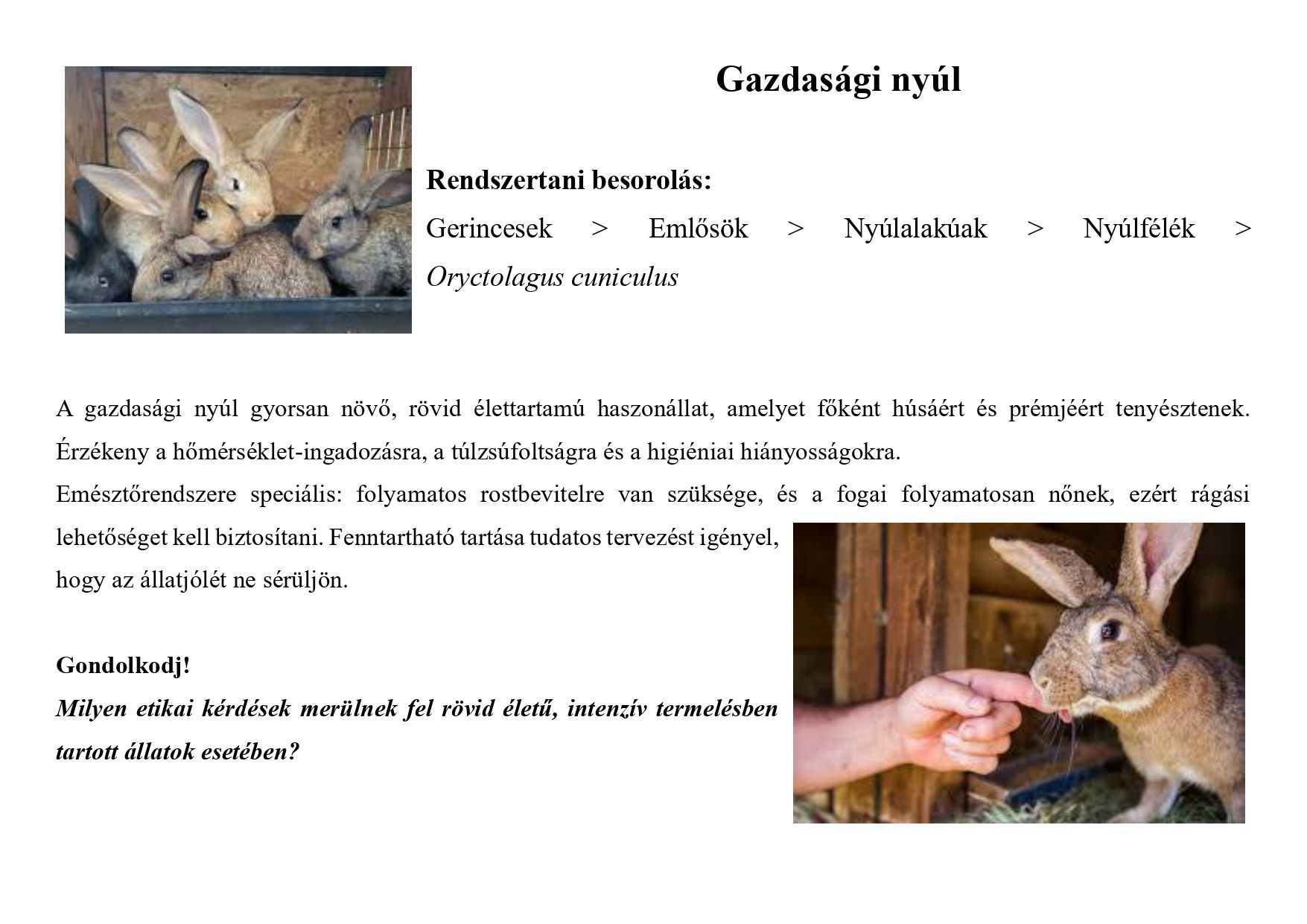 Tanösvény_haszonállatokról gyűjtemény_page-0010.jpg