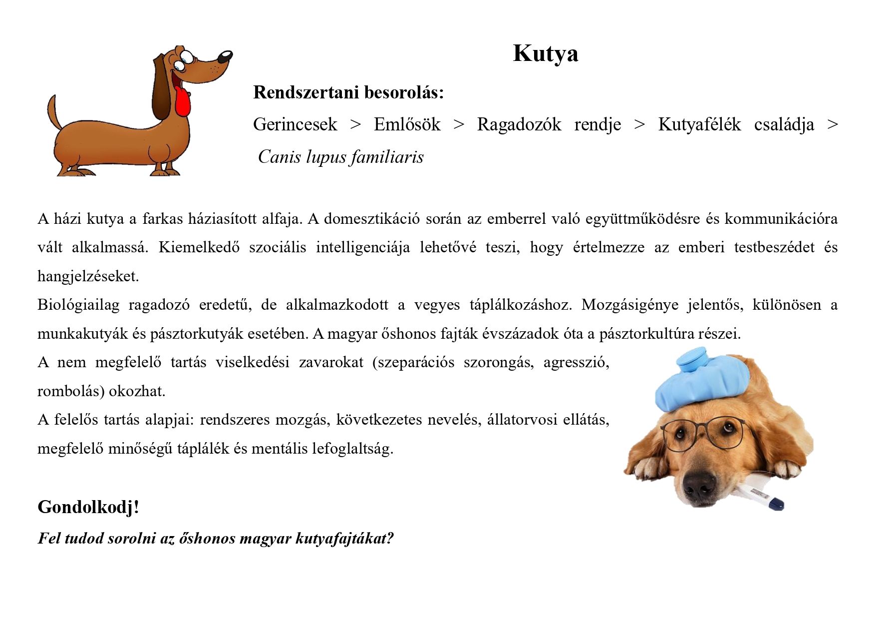 Tanösvény_kedvtelésből tartott állatok gyűjtemény_page-0002.jpg