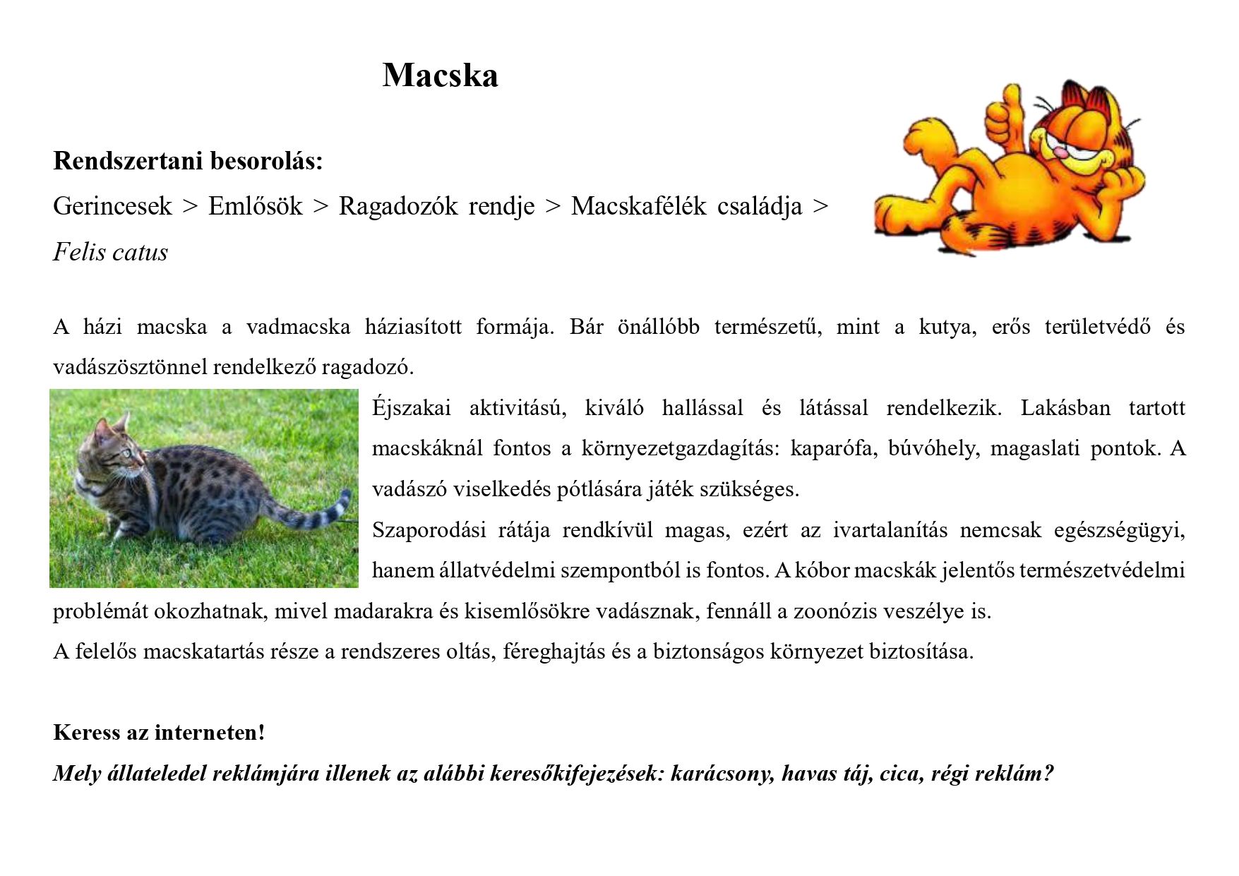 Tanösvény_kedvtelésből tartott állatok gyűjtemény_page-0003.jpg