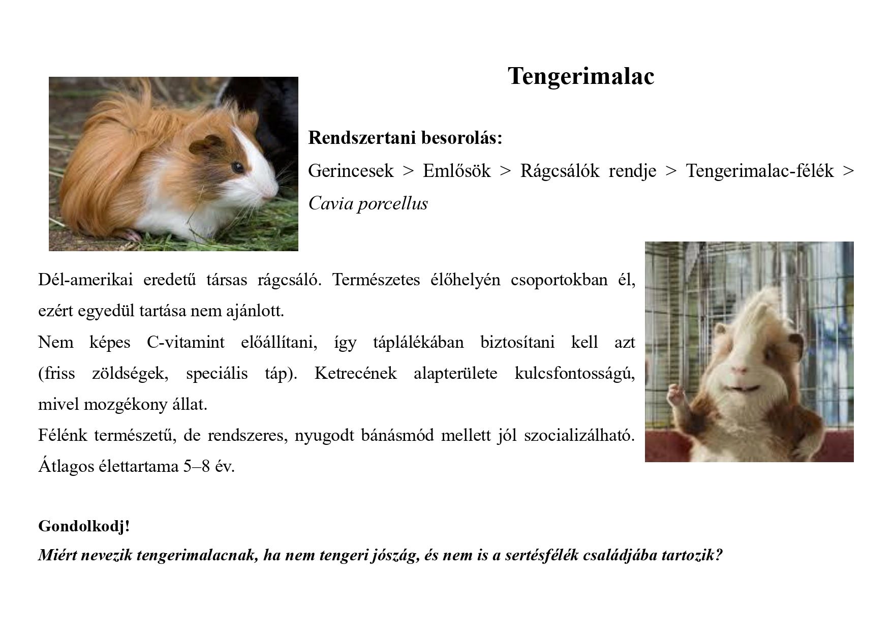 Tanösvény_kedvtelésből tartott állatok gyűjtemény_page-0005.jpg