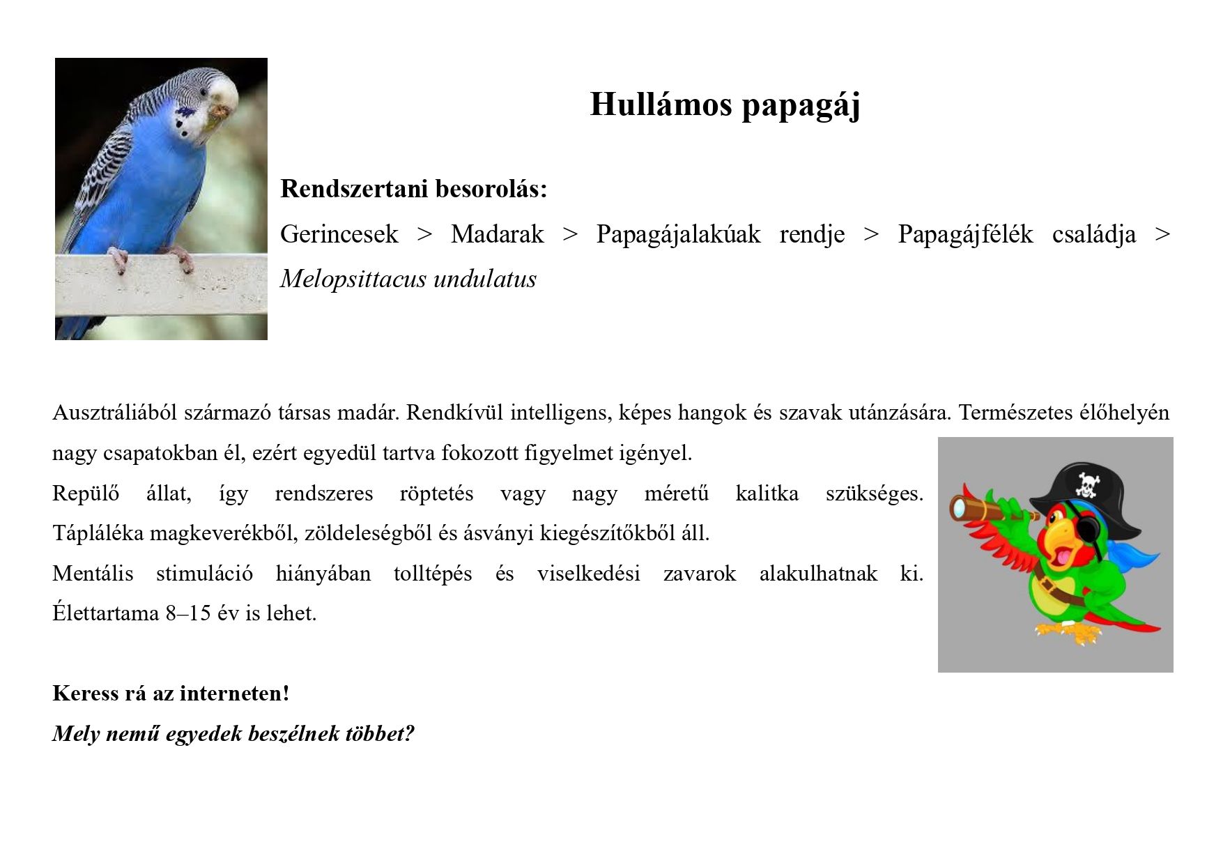 Tanösvény_kedvtelésből tartott állatok gyűjtemény_page-0006.jpg
