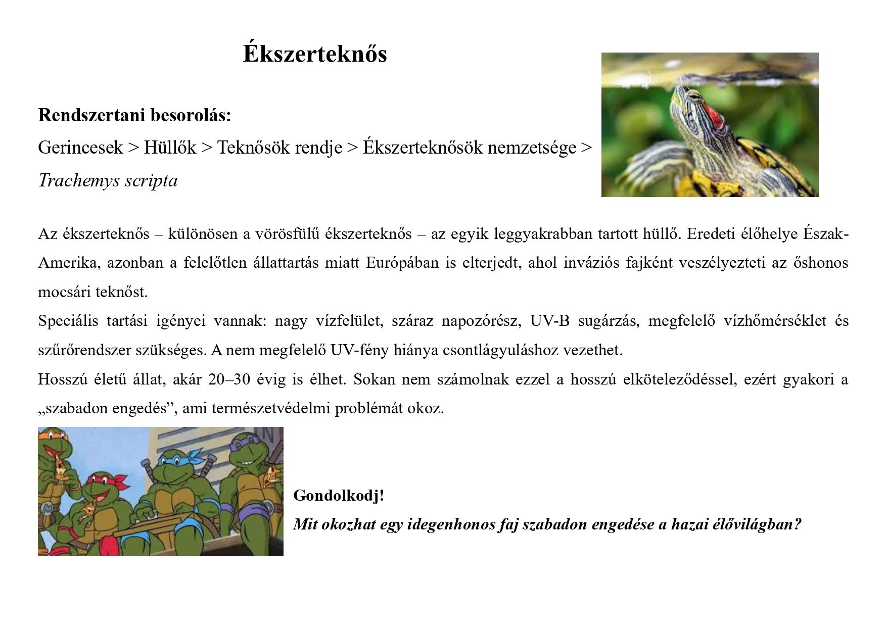 Tanösvény_kedvtelésből tartott állatok gyűjtemény_page-0007.jpg
