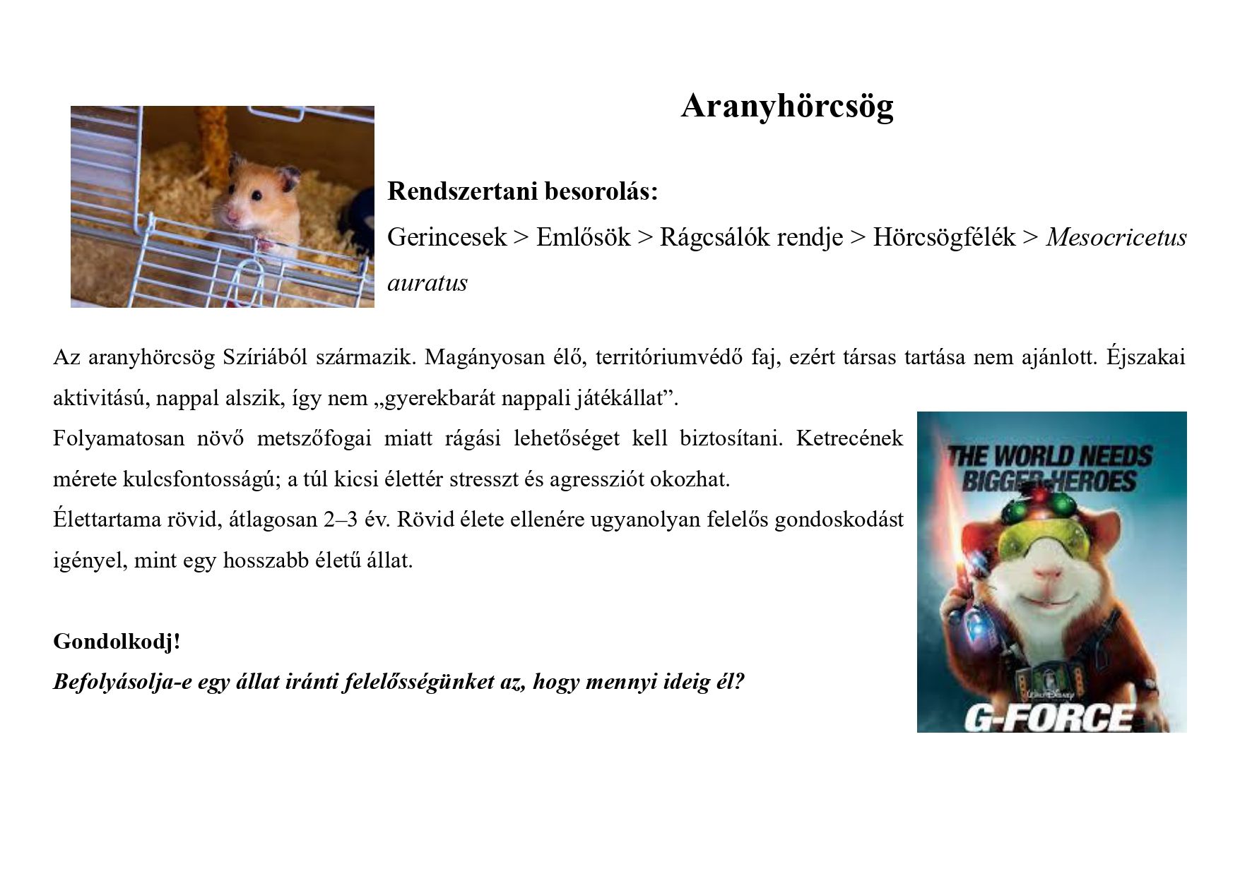 Tanösvény_kedvtelésből tartott állatok gyűjtemény_page-0008.jpg