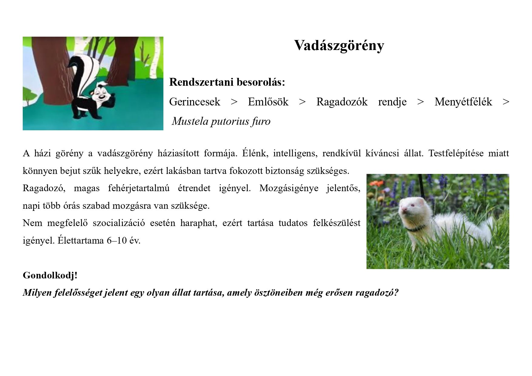 Tanösvény_kedvtelésből tartott állatok gyűjtemény_page-0009.jpg