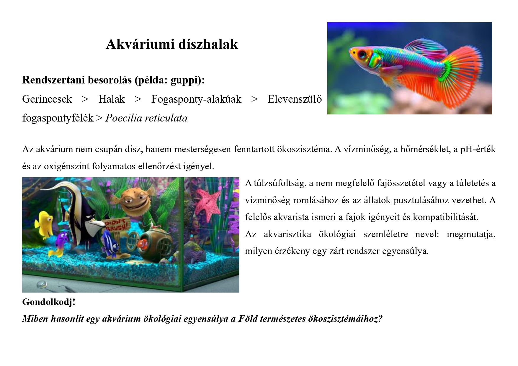 Tanösvény_kedvtelésből tartott állatok gyűjtemény_page-0010.jpg
