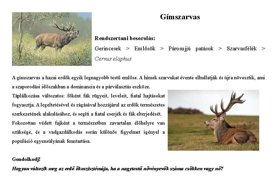 Tanösvény_vadon élő állatokról gyűjtemény_Oldal_02.jpg