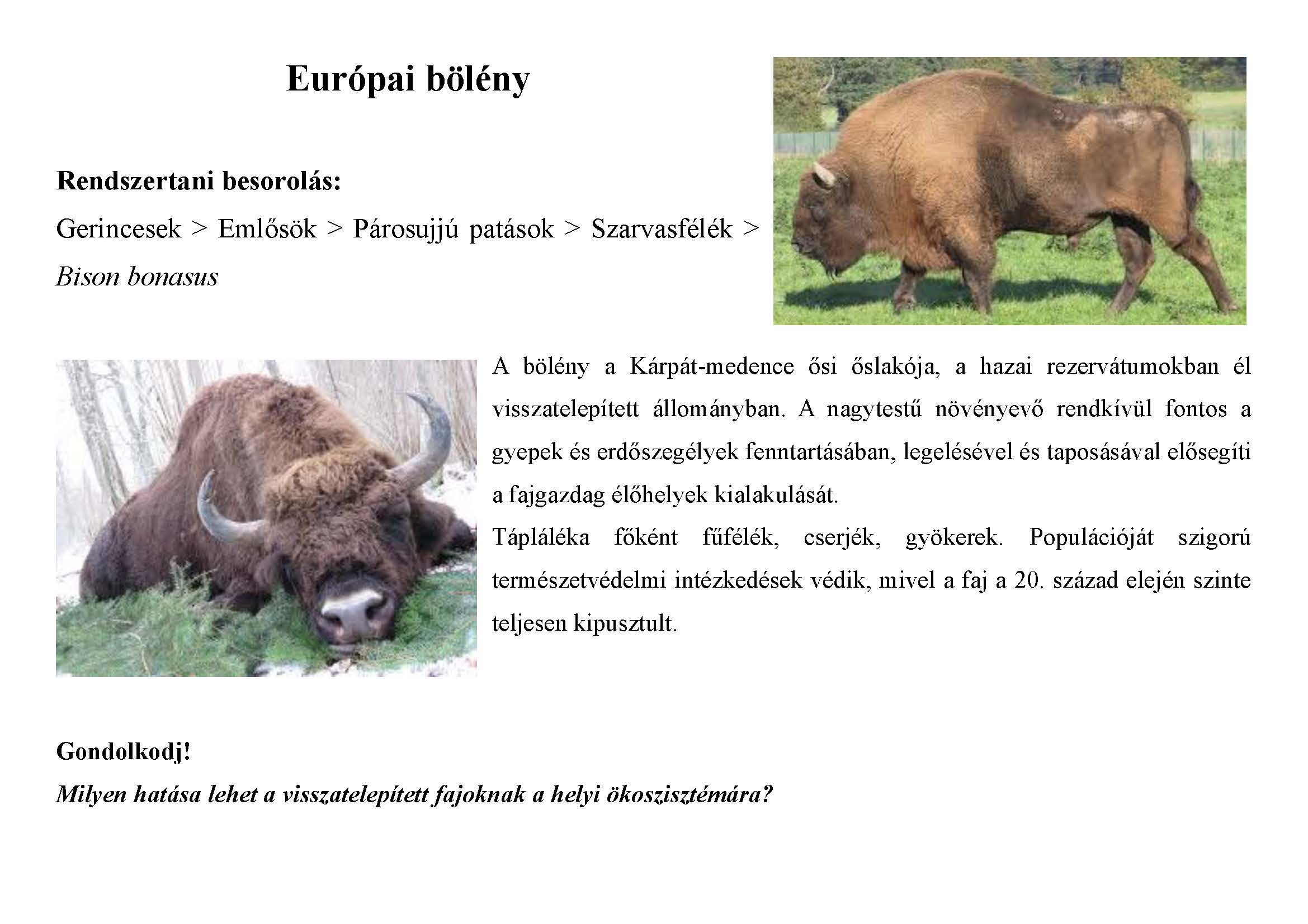 Tanösvény_vadon élő állatokról gyűjtemény_Oldal_07.jpg