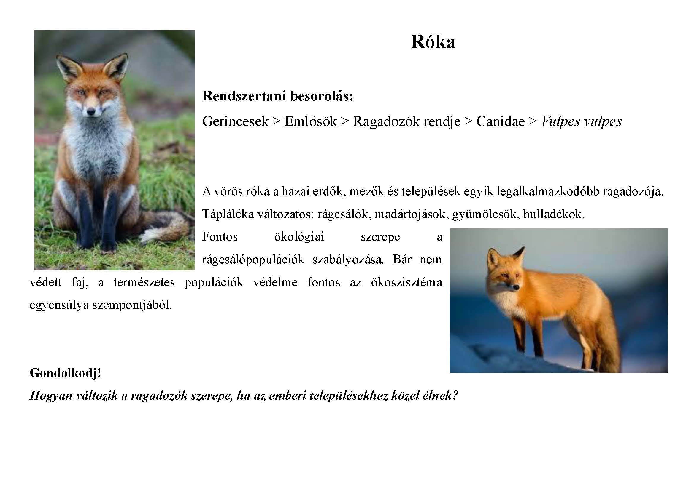 Tanösvény_vadon élő állatokról gyűjtemény_Oldal_09.jpg
