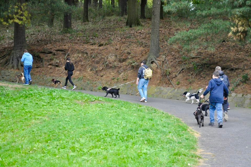 Tappancsmozgató_4.jpg