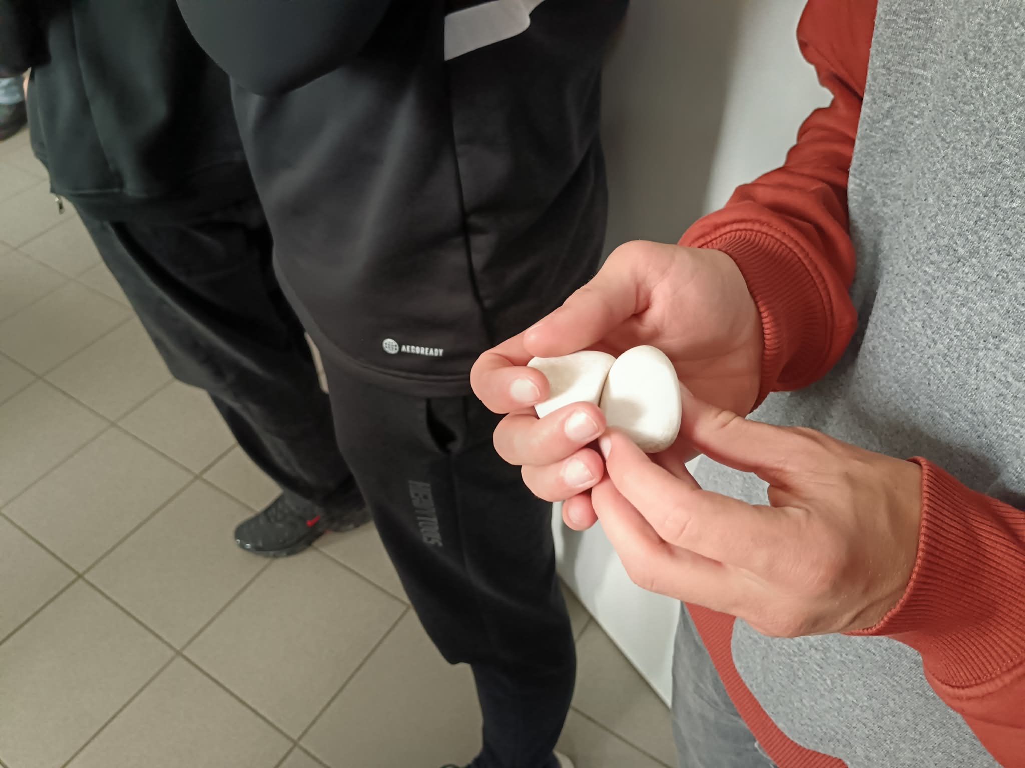 állatorvosi foglalkozás_03.jpg