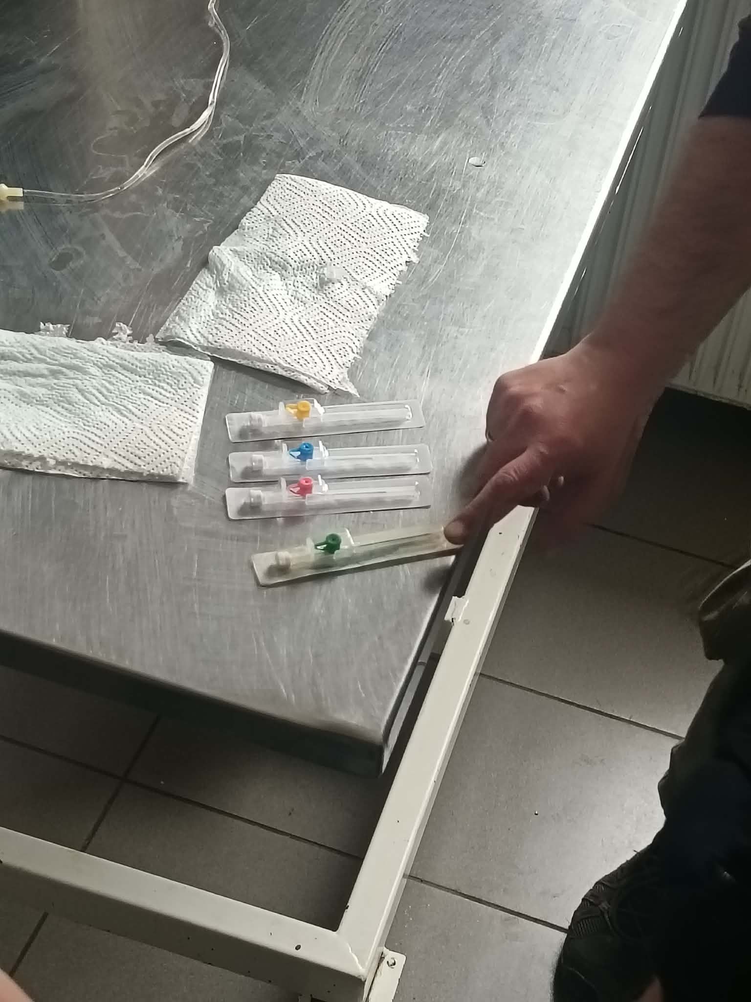 állatorvosi foglalkozás_08.jpg