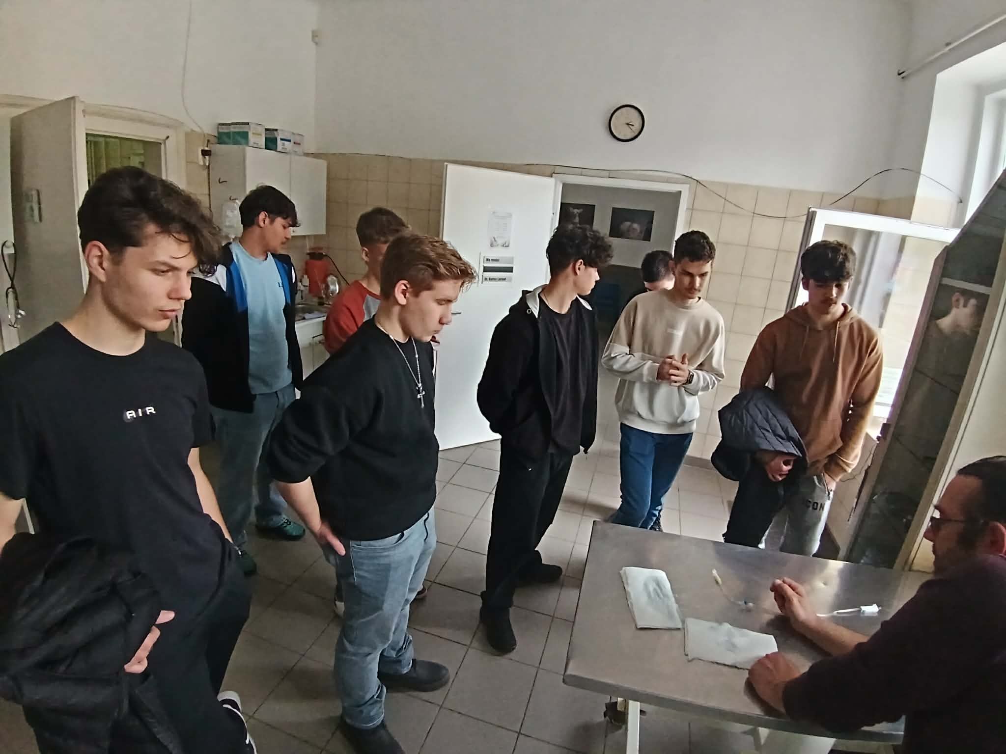állatorvosi foglalkozás_09.jpg
